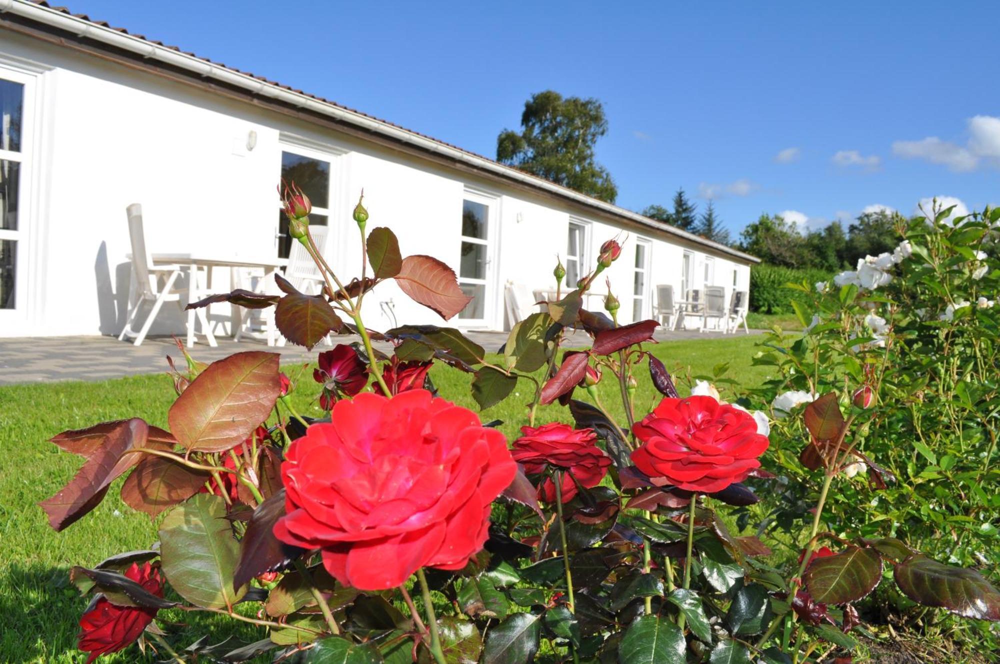 Koebenhovedskov Bed & Breakfast Bed & Breakfast Rodding Exterior photo